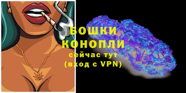 МДПВ Осинники