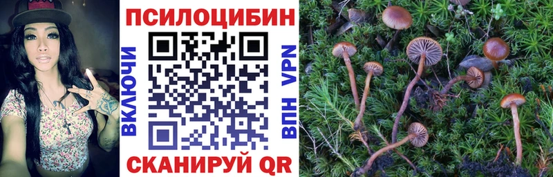 Галлюциногенные грибы прущие грибы  Талица 