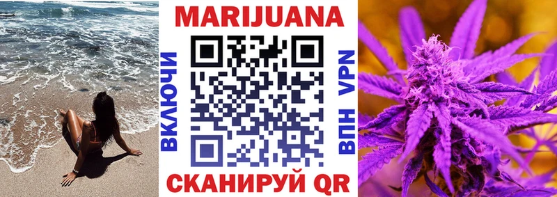 где купить наркоту  гидра рабочий сайт  Каннабис сатива  Талица 